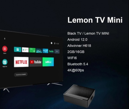 -  ,  Lemon TV Mini 2G/16Gb (Smart TV Box)